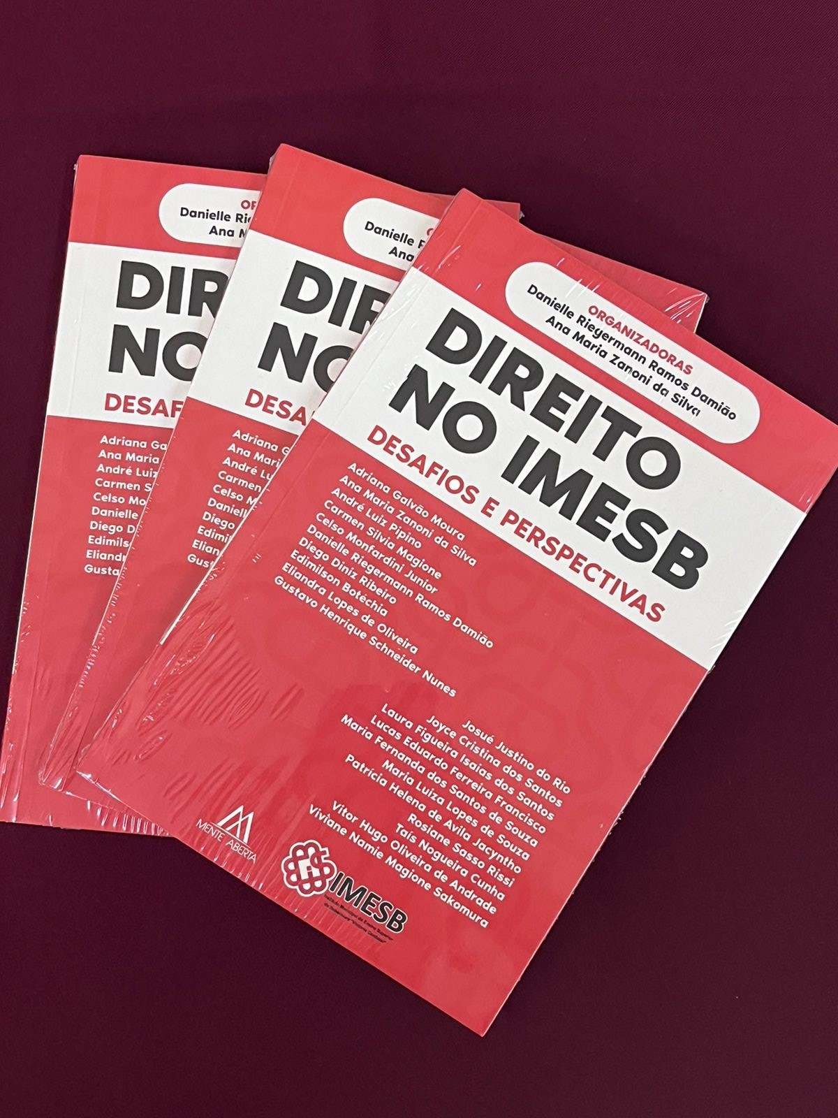 IMESB lança obra coletiva produzida por professores e alunos egressos da Instituição